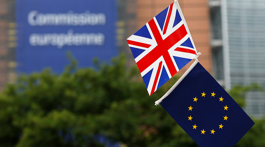 More Brussels bureaucracy: ‘Brexit may take up to 10 years to implement’