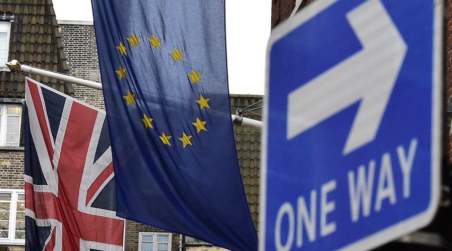Adopt a Remainer! Romanian campaign offers desperate UK voters chance to stay in EU