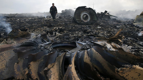An Emergencies Ministry member walks at a site of a Malaysia Airlines Boeing 777 plane crash near the settlement of Grabovo in the Donetsk region, July 17, 2014. © Maxim Zmeyev