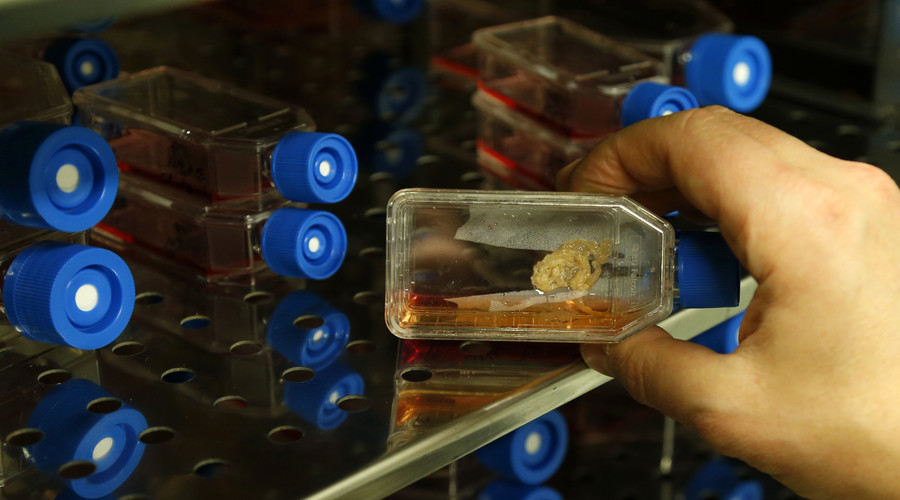 At least 570 stem cell clinics operate unregulated by FDA — study