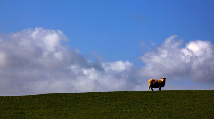 Tiny NZ town swamped with bids from all over world after sending out call for new residents