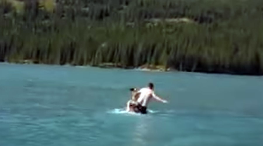 Canada is not a-moosed: Men charged for riding swimming elk rodeo-style