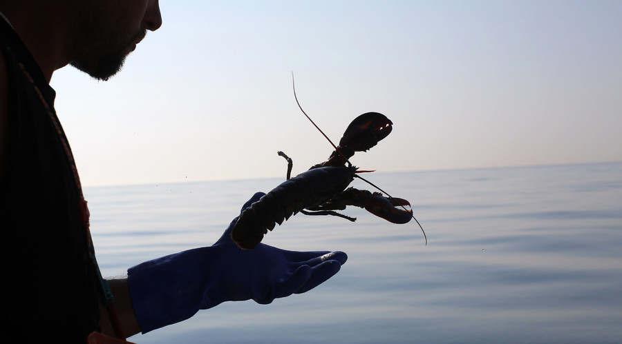 Holy lobster liberation! Monks release store-bought crustaceans into the wild (PHOTOS)