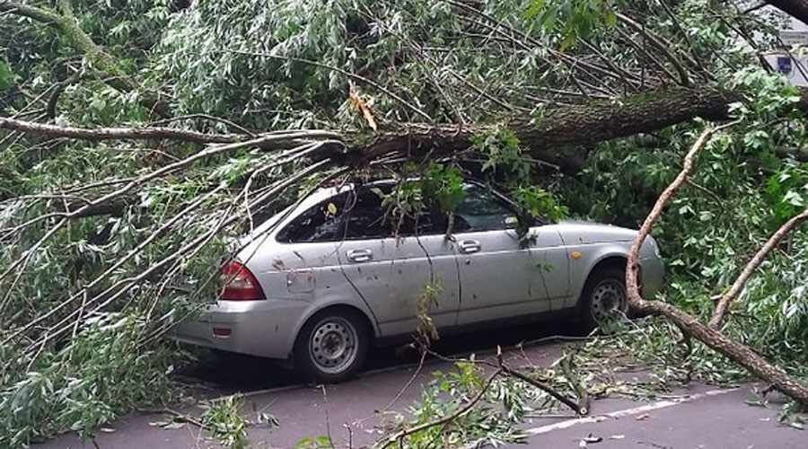 Moscow residents share ‘post-apocalyptic’ pics of night thunderstorm aftermath (PHOTOS)