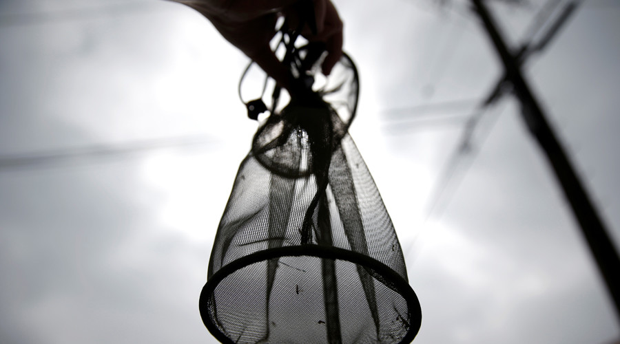 Seed money: Zika-laden semen earns infected men $50 from CDC