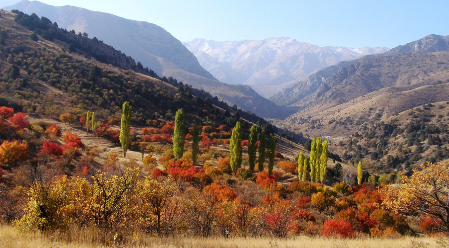 UNESCO adds 12 stunning sites to its World Heritage List (PHOTOS)
