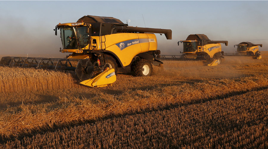 Russia dominates global wheat market
