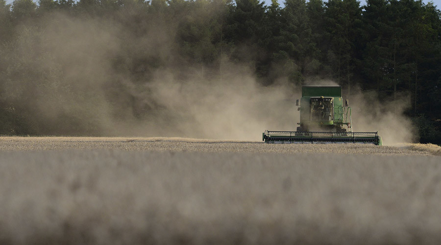 British wheat & exports get boost from Brexit