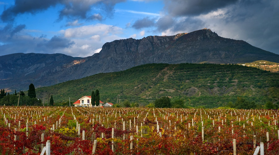 French winery wants to invest in Crimea
