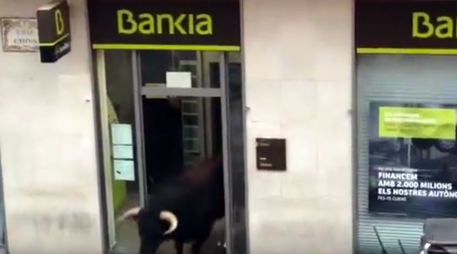 Bull-run revenge: Bank ruptured and other great bull-gets-own-back moments (VIDEO)