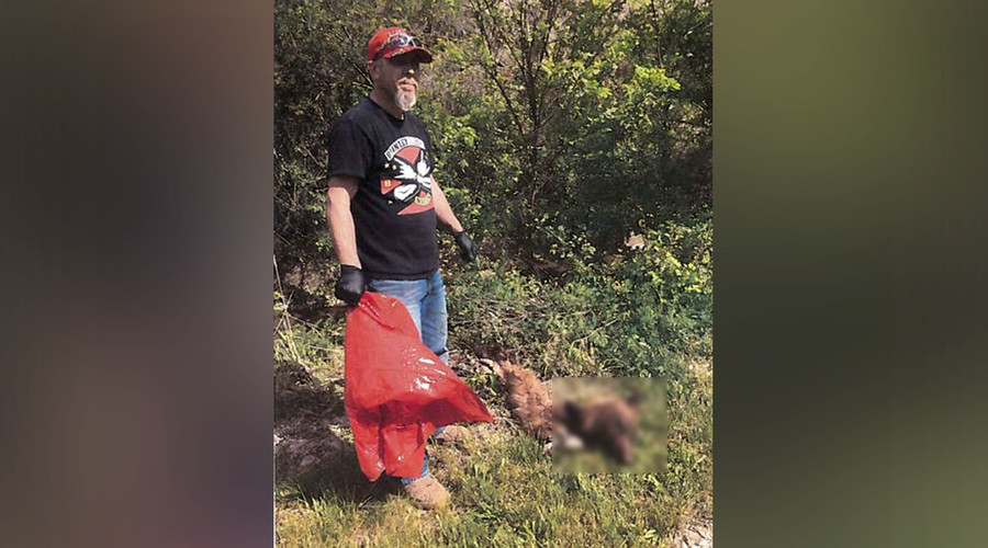 Father haunted by scenes from ‘The Revenant’ kills black bear