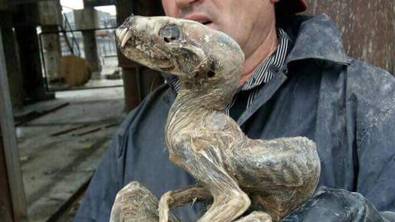 mummified dinosaur