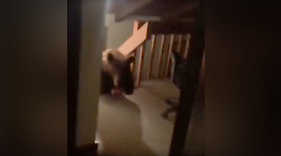 Over-bearing: Terrifying moment grizzly burglar breaks into house (VIDEO)