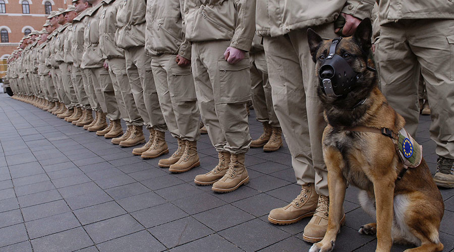 Soldiers replace police as embassy guards in Vienna to help tackle refugee crisis
