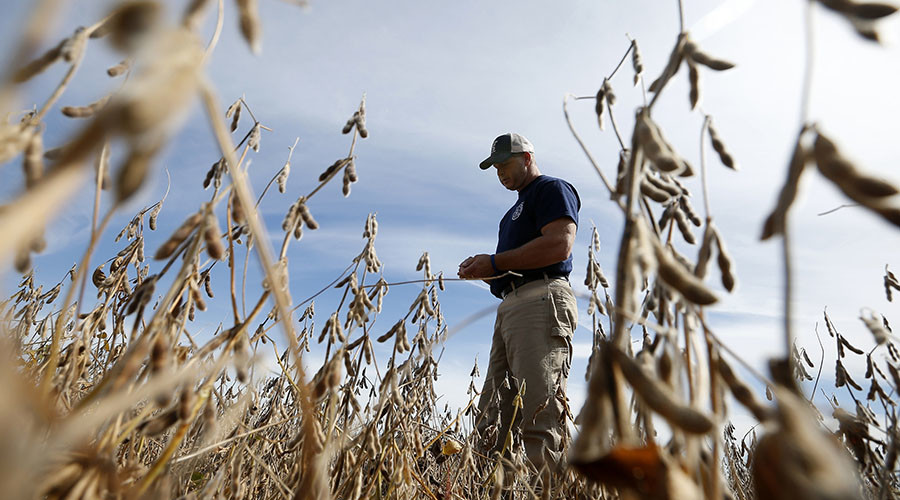 Farm feud: Monsanto and its clients under fire for damaging crops