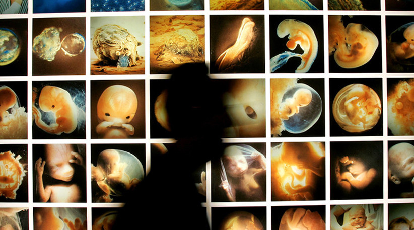Ethics concerns over human-animal hybrids as US govt agency seeks to lift funding ban