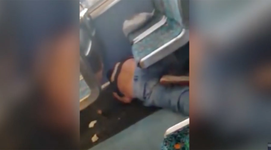 Woman beats up train passenger in California over alleged racist abuse (GRAPHIC VIDEO)