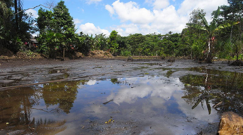 Court rules for Chevron against Ecuadorians in $9bn rainforest damage case