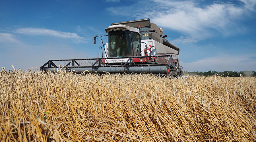 Medvedev calls for cheaper loans to Russian farmers