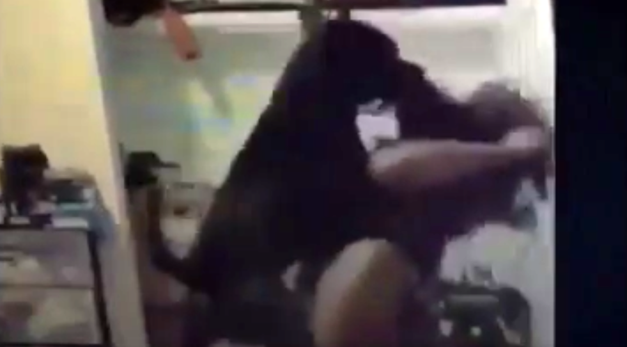 Woman finds out the hard way her dog doesn't like twerking (VIDEO)