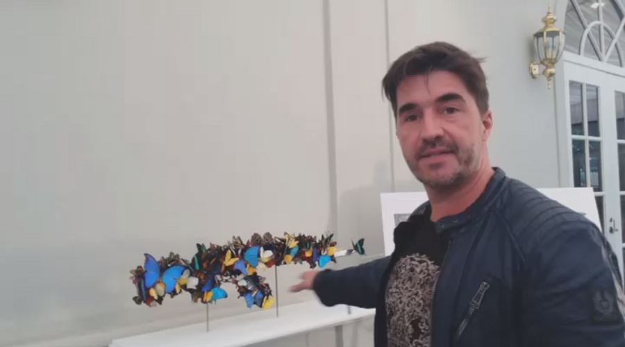 ‘Ironic’: Artist takes AK-47s to Texas as part of exhibit, items barred from entry