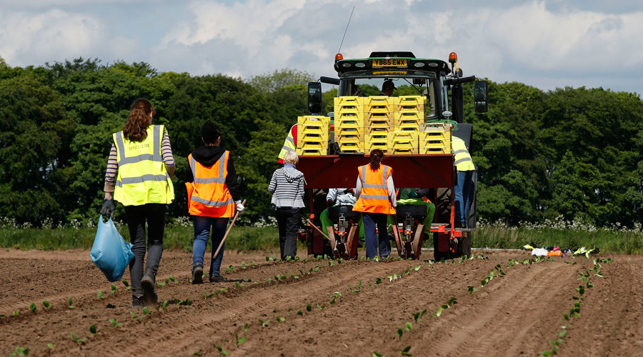 Number of EU migrants entering Britain surged ahead of Brexit vote