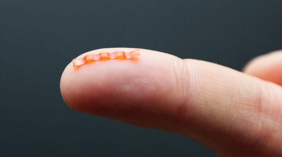 Tiny light-powered caterpillar robot mimics natural crawl (VIDEO)