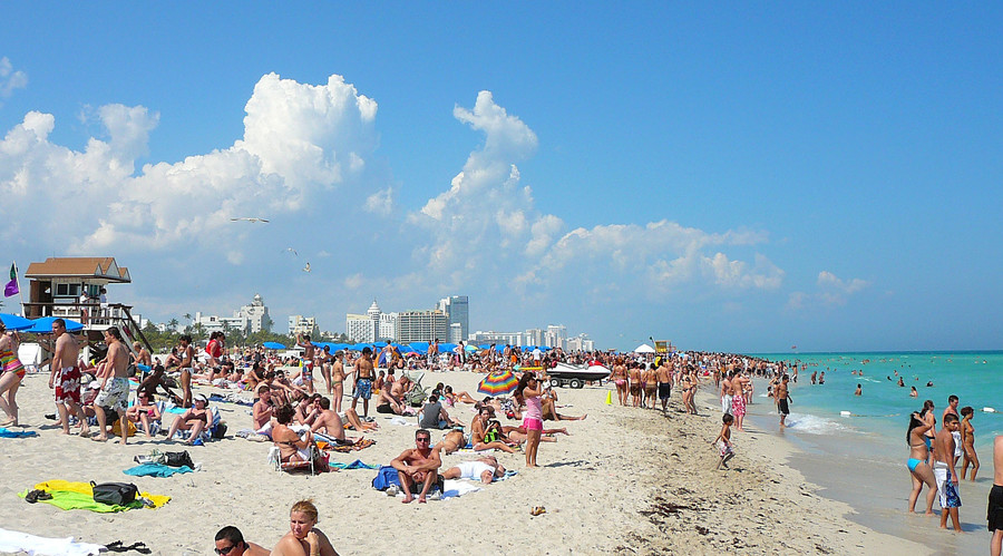Pregnant women should keep off Miami Beach due to Zika virus spread – official