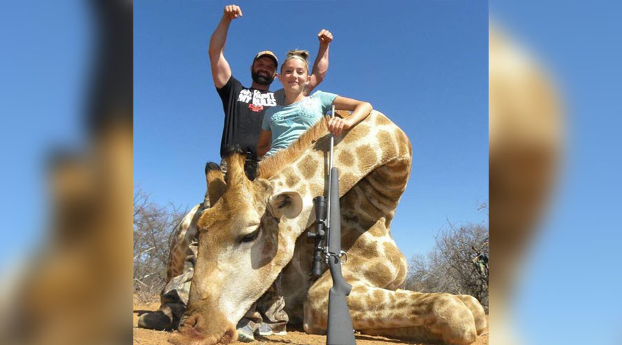 'Despicable': 12-year-old girl targeted after posing with zebra, giraffe she hunted and killed