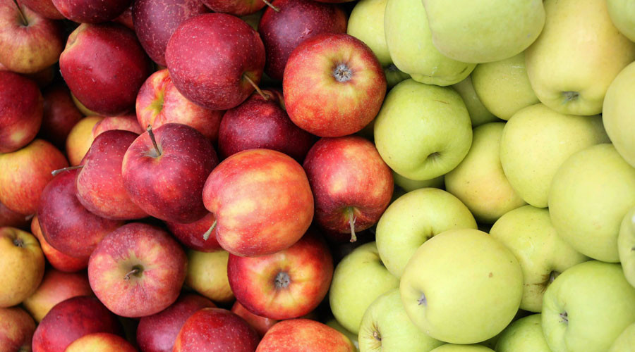Polish apple farmers casualties of Russia-EU trade war