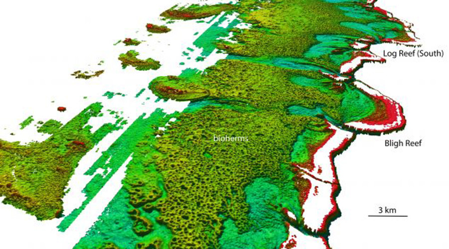 Deeper 6,000 sq km reef discovered hidden behind Great Barrier Reef