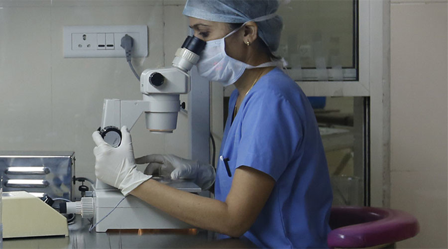 ‘Game-changer for patients’: Scientists grow liver able to replicate natural functions