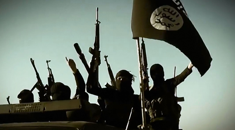 ‘Islamic State serves positive function in Syria’ - Israeli think tank