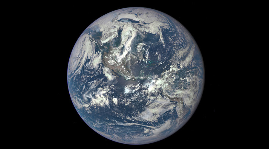 ‘By 2050 half the forms of life we know will be gone’ – conservation biologist