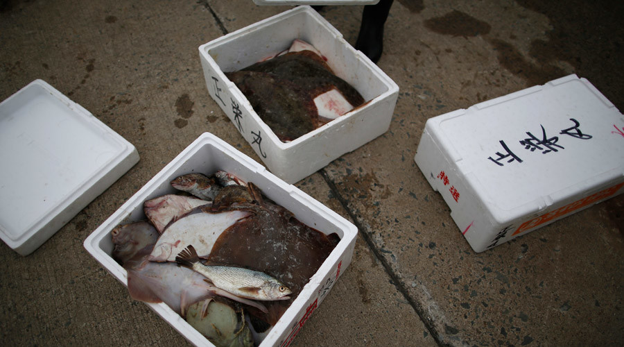 Japan authorizes commercial flounder ‘test-fishing’ off Fukushima
