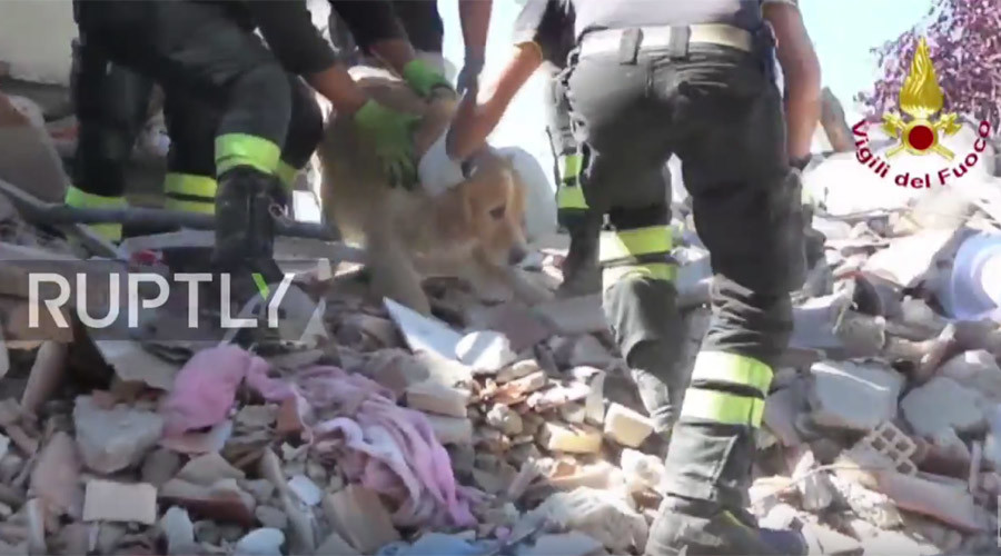 Dog rescued from Italy’s earthquake rubble after being buried for 9 days (VIDEO)