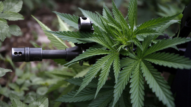 Colorado marijuana grow house invasion ends in fatal shooting