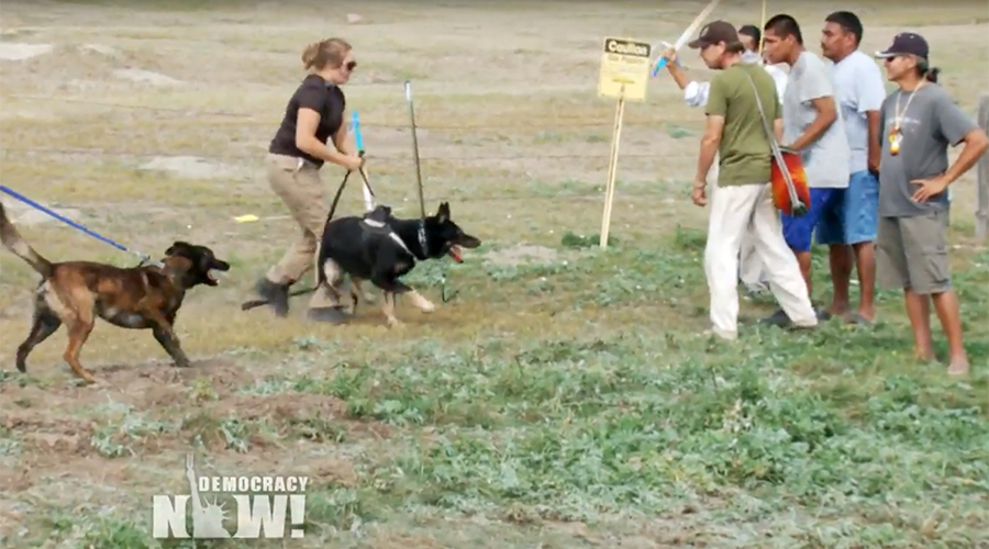 Sioux protesters ‘attacked’ by security dogs, pepper-sprayed at Dakota pipeline site (VIDEO)