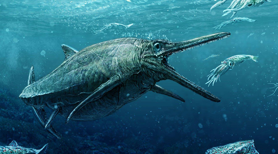 Nessie's cousin? Scotland finally reveal ancient skeleton of Jurassic monster (PHOTO)