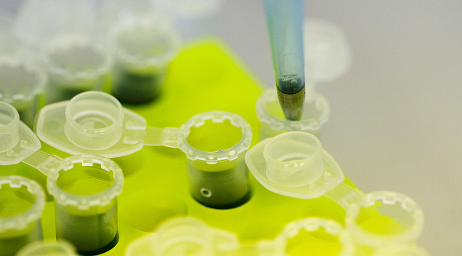 Strep solution? Vaccine may be in the works for flesh-eating bacteria