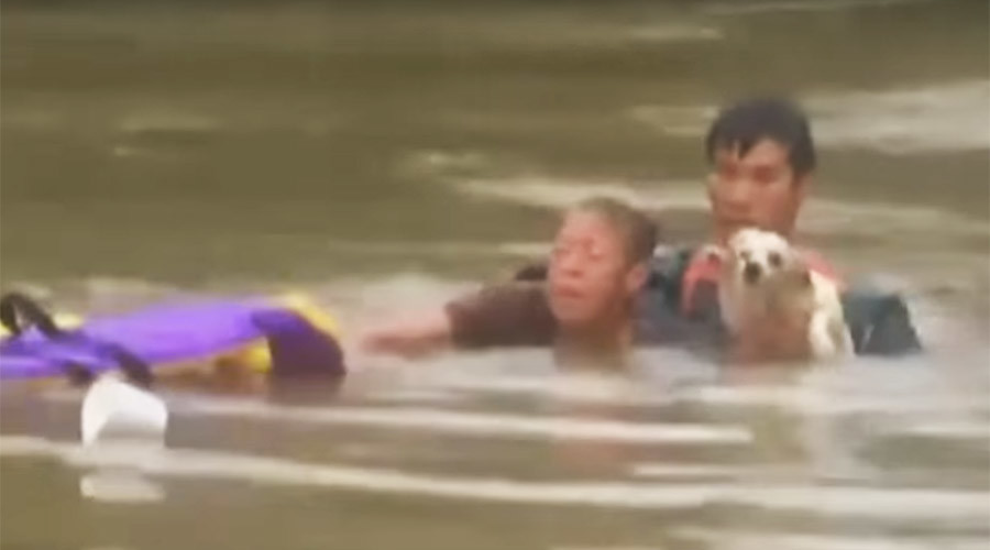 Quid pro quo for Fido? Dogs rescued in Louisiana floods now assisting Florida jails