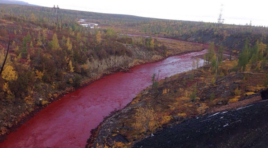 Plagues of Siberia: Russian Arctic river mysteriously turns blood-red