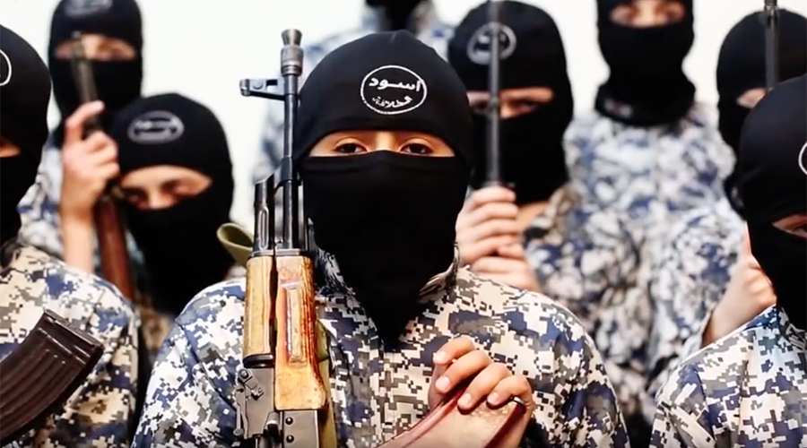 ‘Extremist’ children under 10 referred to UK de-radicalization programs daily