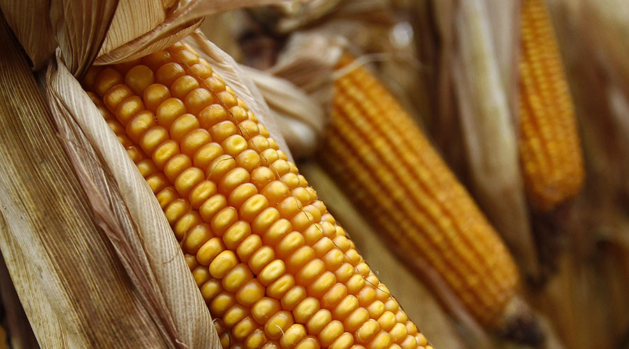 Bayer confirms Monsanto takeover with $66bn bid