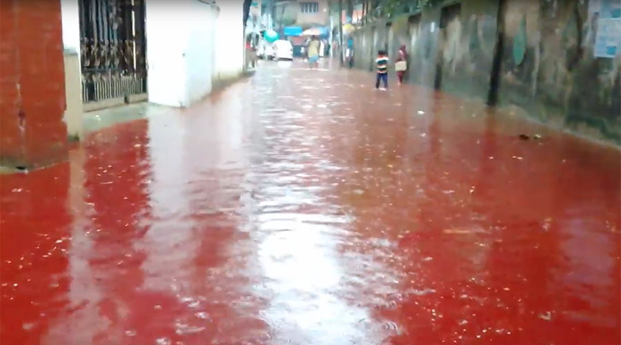 Rivers of blood: Streets of Dhaka turn red after Eid 