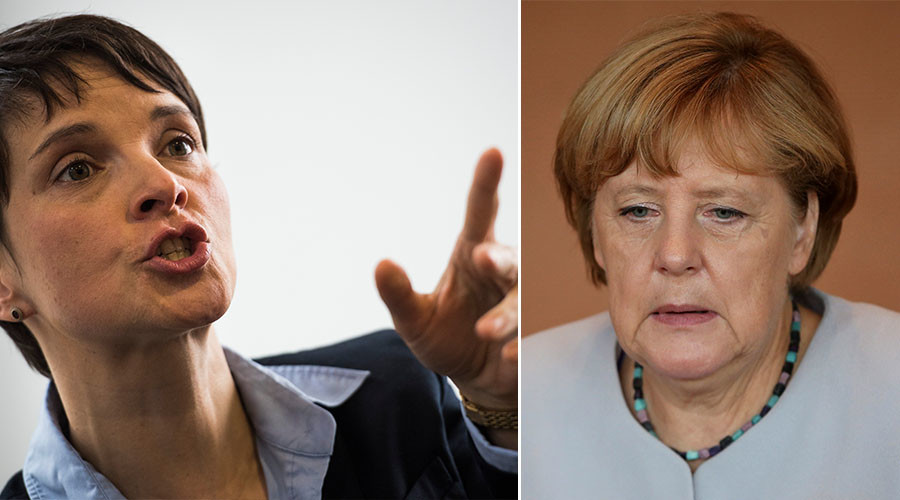 Unable to ‘see beyond her own lifespan:’ AfD’s Petry slams Merkel for not having children