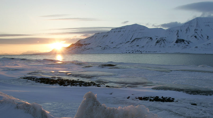 ‘Tremendous loss’: Arctic Sea ice shrinks to 2nd lowest level ever