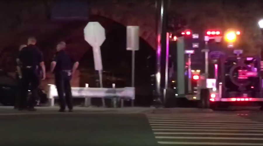 ‘That was real!’ Suspected pipe bomb explodes at NJ train station (VIDEOS)