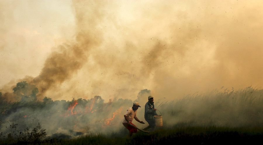 'Killer haze' caused 100,000 deaths in Southeast Asia in 1 year – study
