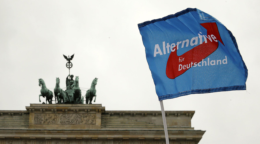 AfD vows to become 3rd largest force in Germany as Merkel admits refugee crisis was ‘out of control’